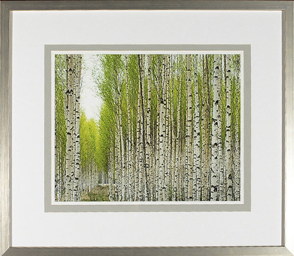 Birch Study Lime II wall art featuring vibrant green leaves and white birch trees
