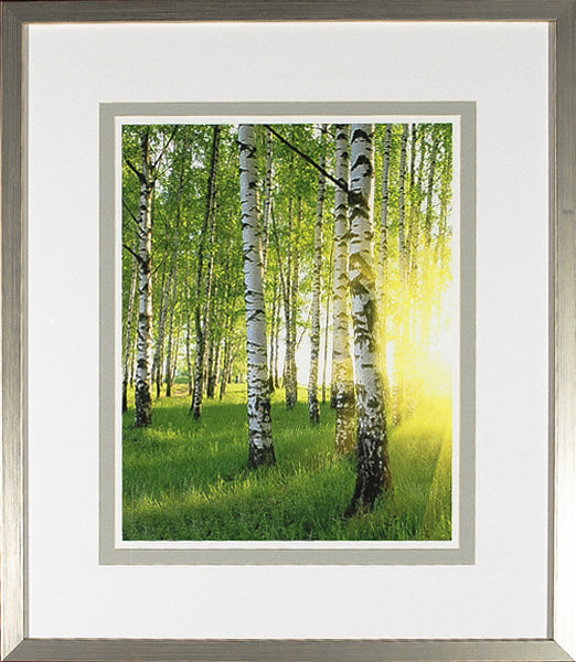 Birch Study Lime III wall art featuring birch trees and sunlight in a green forest setting.