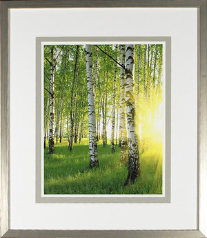 Birch Study Lime III wall art featuring birch trees and sunlight in a green forest setting.