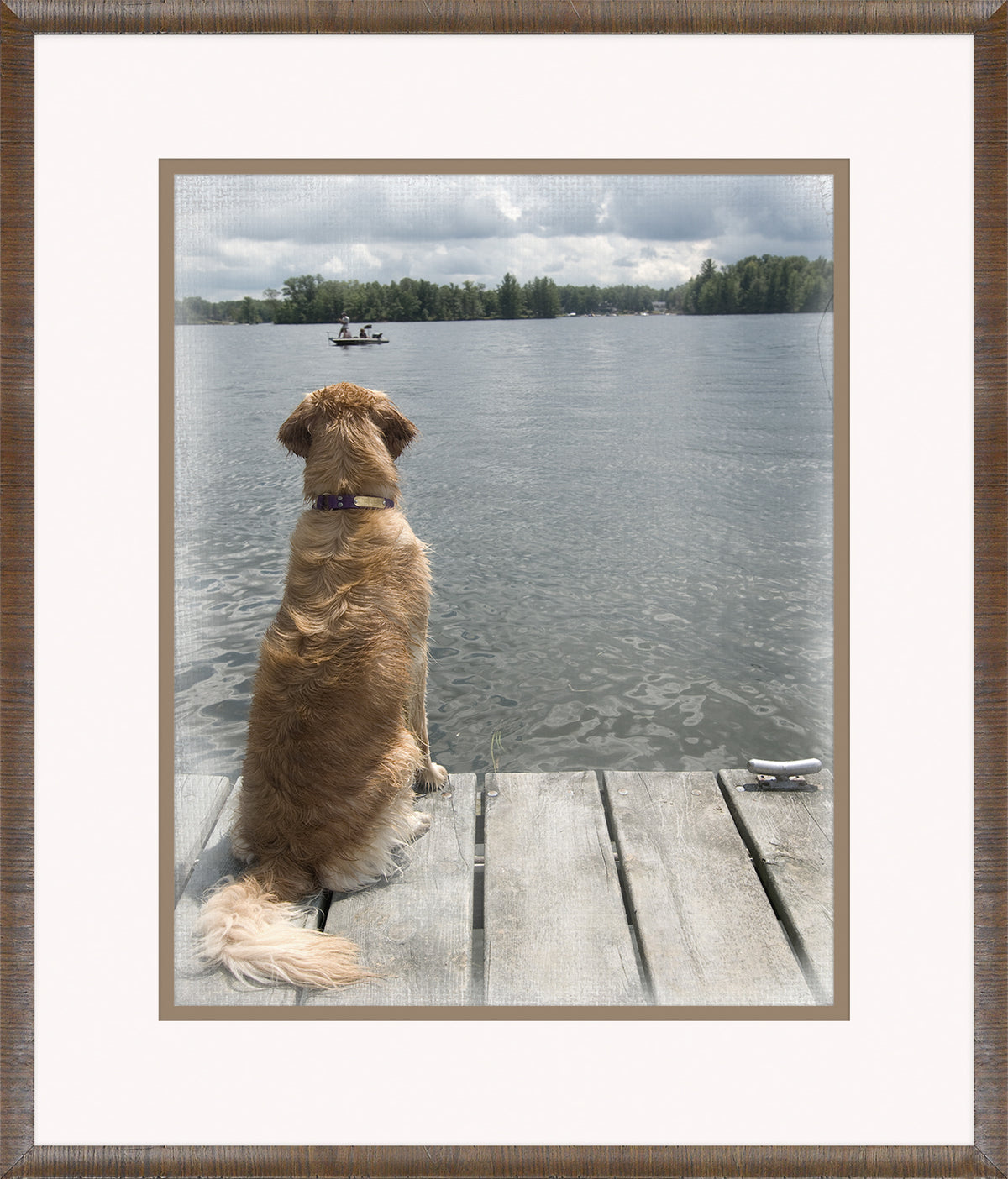 Watching Over wall art featuring a golden dog sitting on a dock by a lake, looking at a boat.