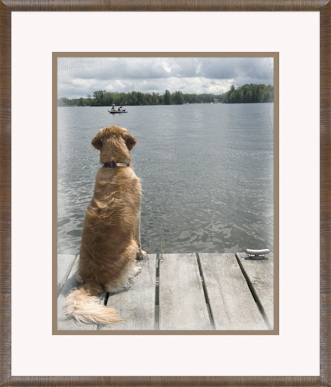Watching Over wall art featuring a golden dog sitting on a dock by a lake, looking at a boat.
