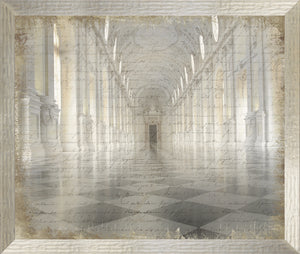Galleria Di Diana framed art print