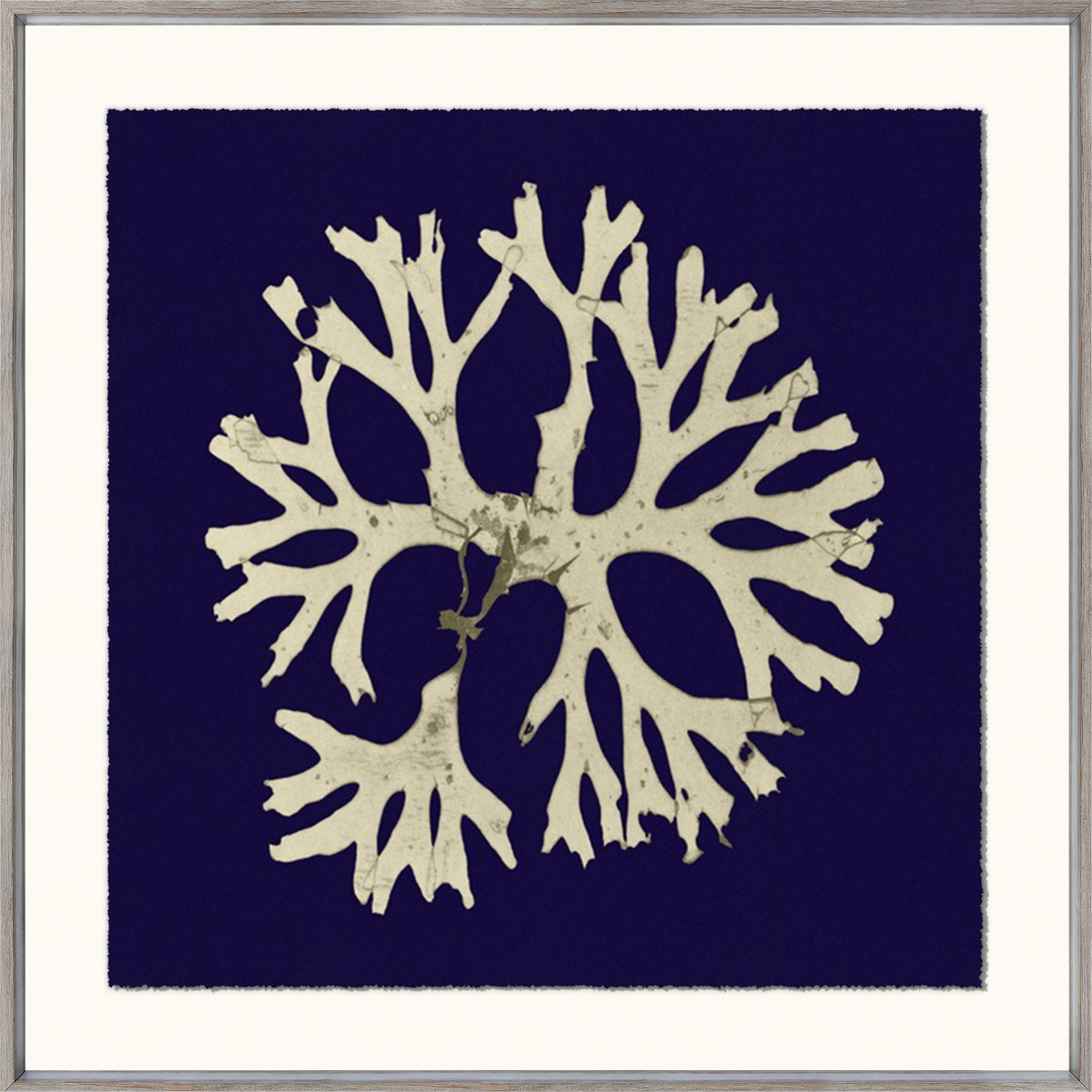 Seaweed On Navy I wall art featuring a beige seaweed design on a navy background