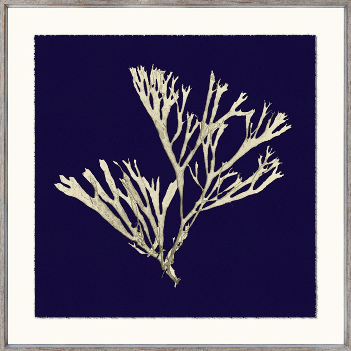 Seaweed On Navy II wall art featuring white seaweed on a navy blue background, framed in a light wood frame.