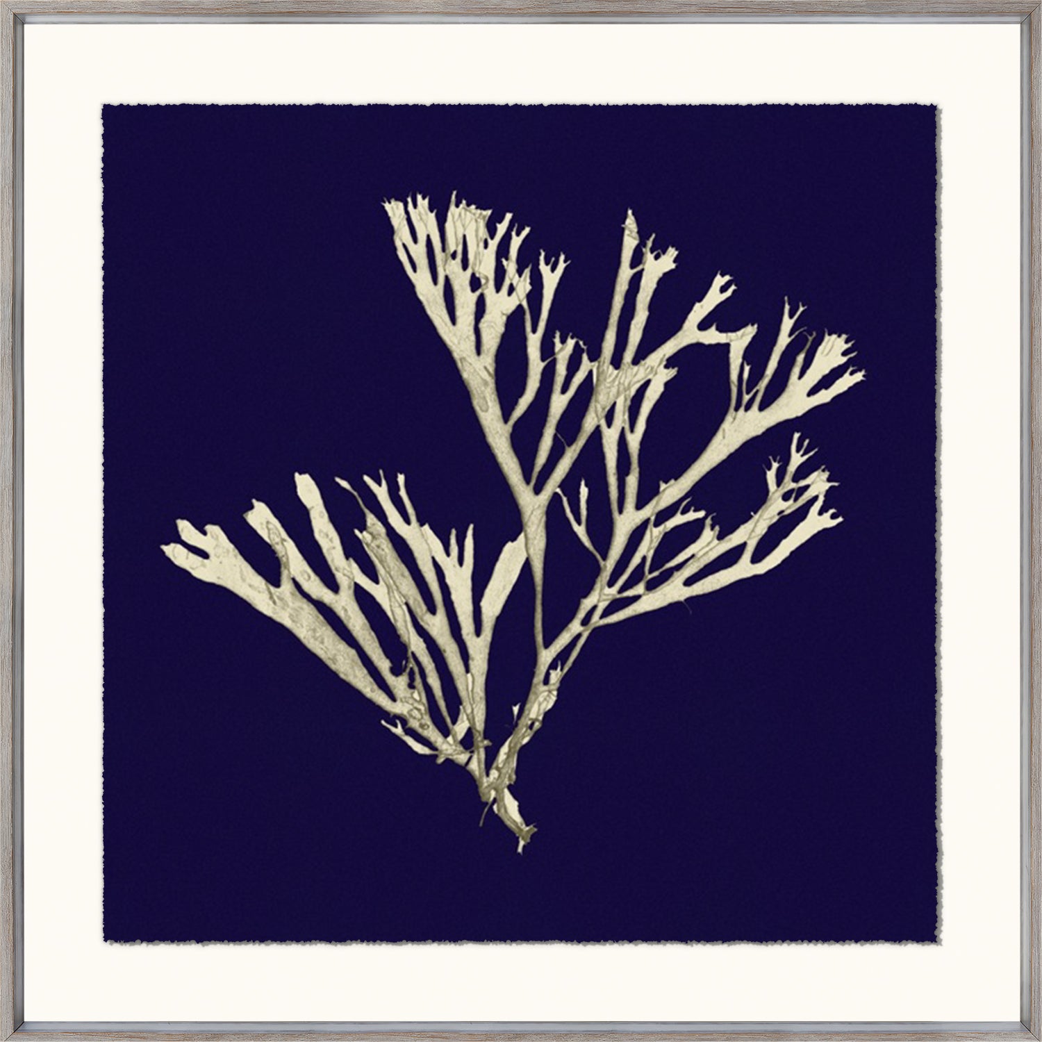Seaweed On Navy II wall art featuring white seaweed on a navy blue background, framed in a light wood frame.