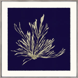 Seaweed On Navy III wall art featuring a gold seaweed design on a navy background.