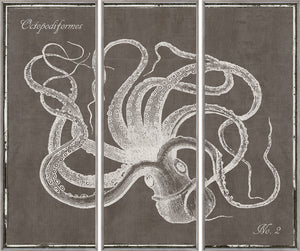 Octopus & Sea Turtle Triptych Pair Bundle — nature and landscape fine art print in neutral tones at Laurie Yapp Home