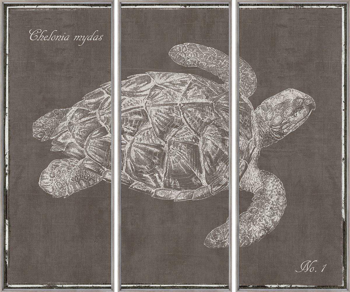 Octopus & Sea Turtle Triptych Pair Bundle — nature and landscape fine art print shown from another angle
