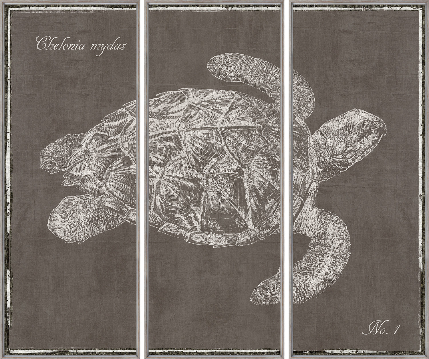 Octopus & Sea Turtle Triptych Pair Bundle — nature and landscape fine art print shown from another angle