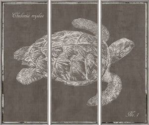 Octopus & Sea Turtle Triptych Pair Bundle — nature and landscape fine art print shown from another angle