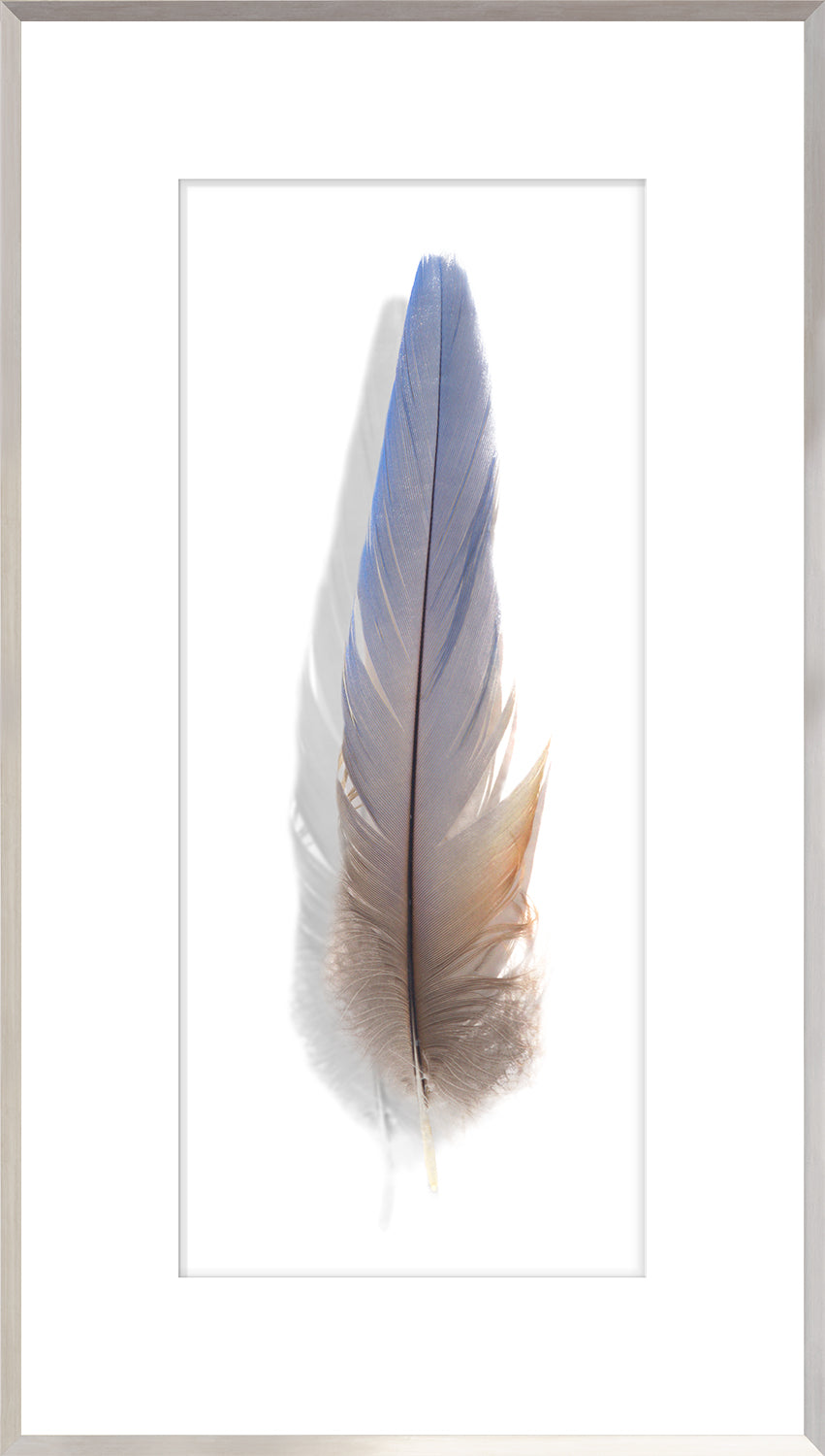Une Plume Feather Trio Bundle — abstract fine art print in neutral tones at Laurie Yapp Home