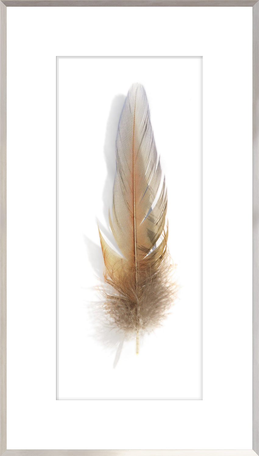 Une Plume Feather Trio Bundle — abstract fine art print shown from another angle