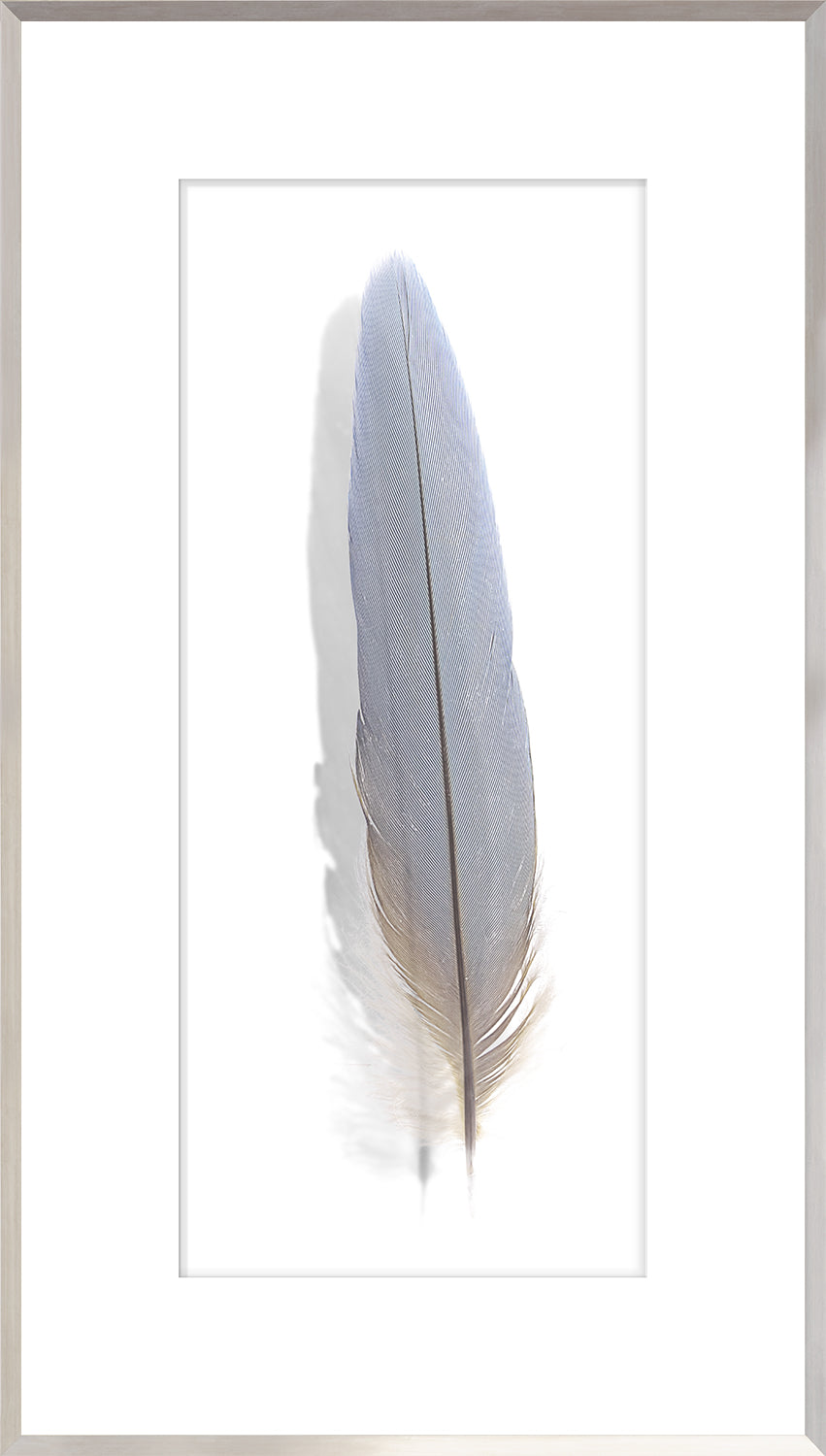 Une Plume Feather Trio Bundle — abstract fine art print shown from another angle