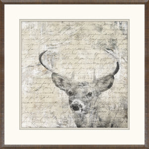 Woodland Denizens Trio Bundle — still life fine art print in warm tones at Laurie Yapp Home