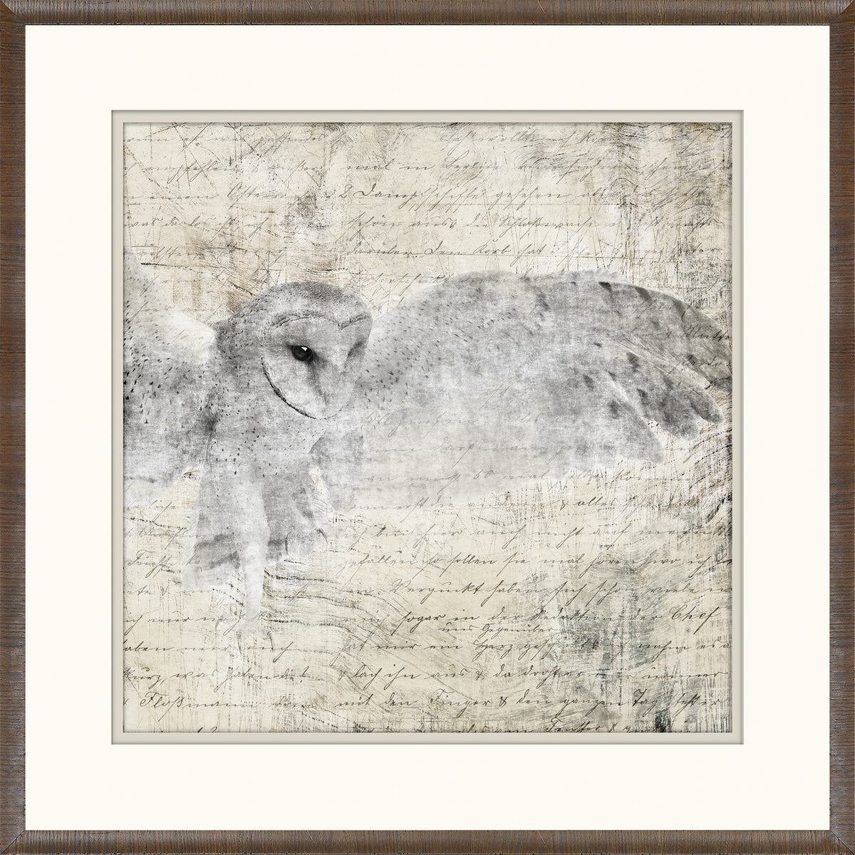 Woodland Denizens Trio Bundle — still life fine art print shown from another angle