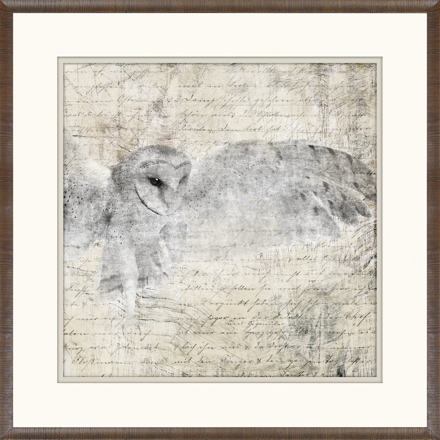 Woodland Denizens Trio Bundle — still life fine art print shown from another angle