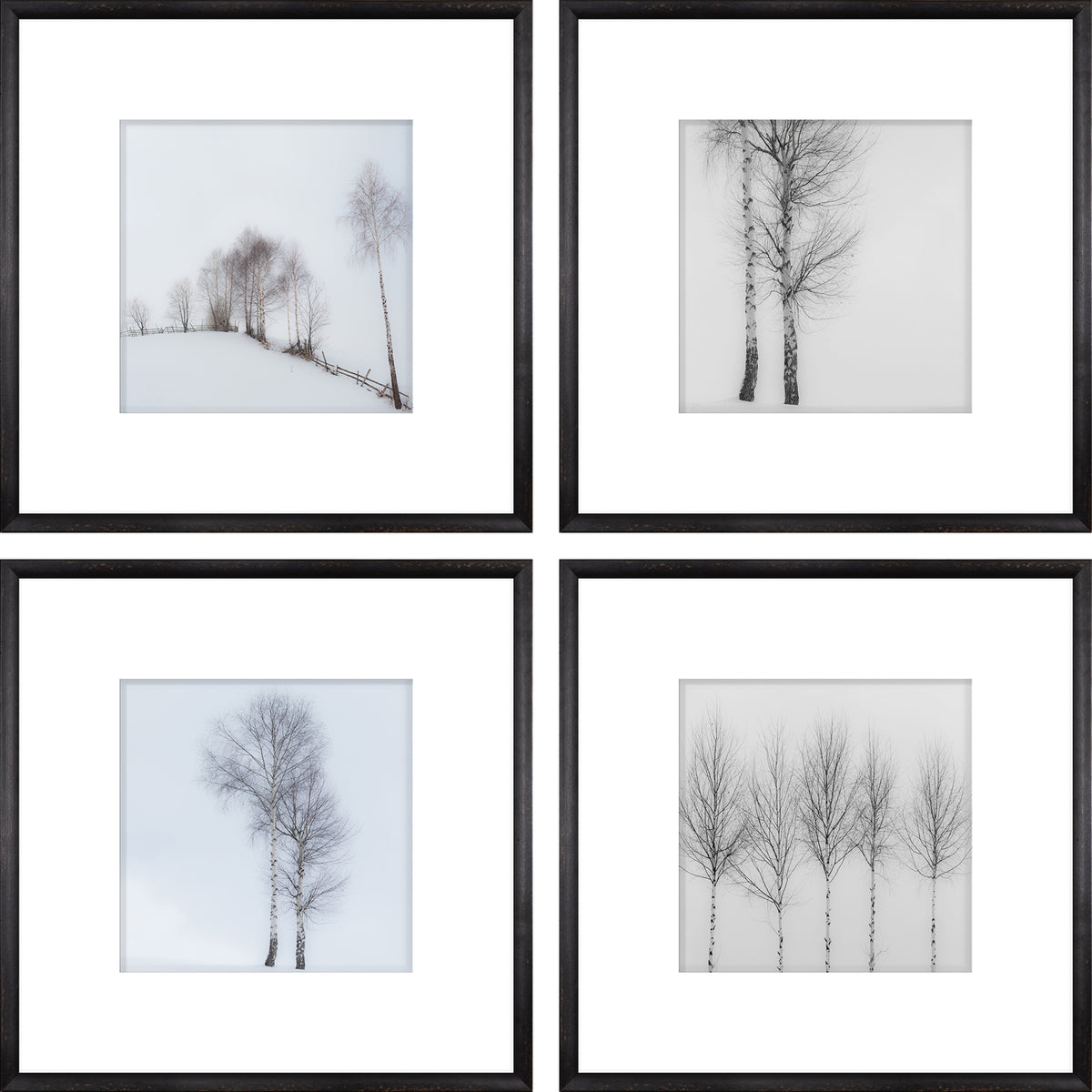 Birch View S/4 wall art featuring four framed images of birch trees in a snowy landscape
