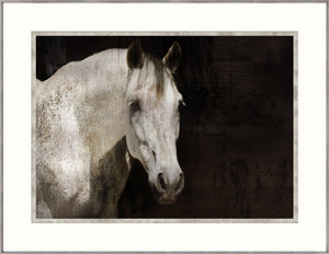 Morgan & Equine Romance Pair Bundle — figurative fine art print in neutral tones at Laurie Yapp Home