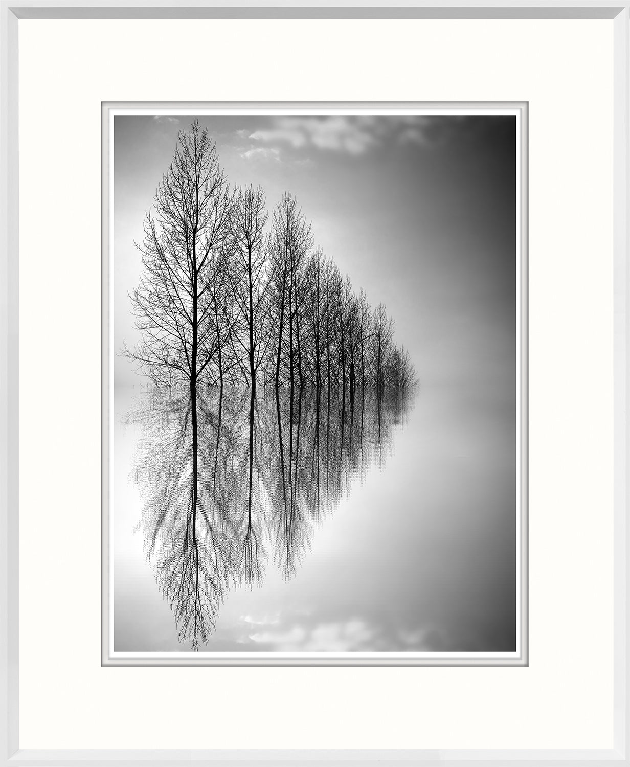 Reflected Horizon wall art featuring black and white trees with reflections in water.