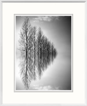 Reflected Horizon wall art featuring black and white trees with reflections in water.
