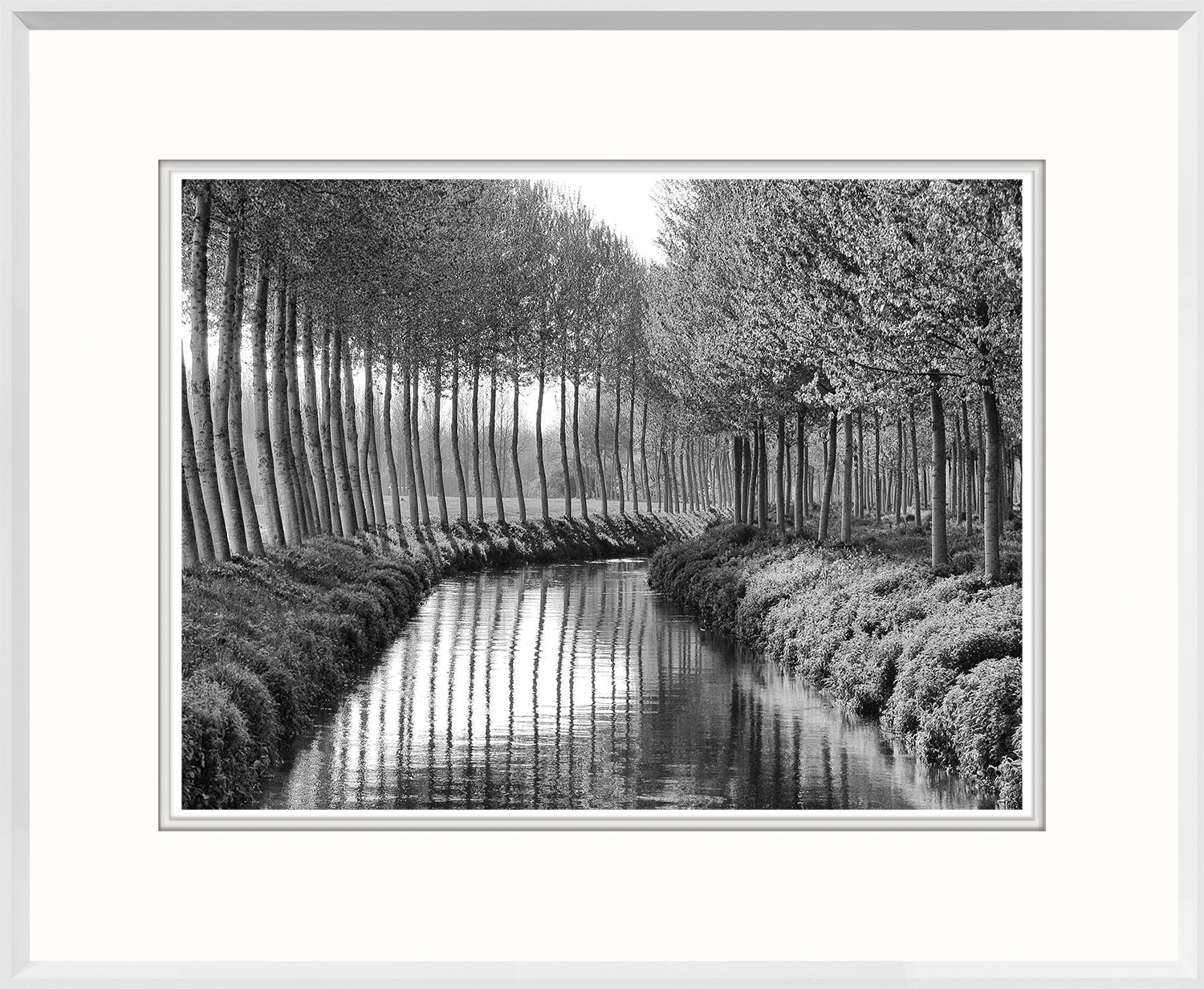 Along The Canal wall art featuring a black and white photograph of trees lining a calm waterway.
