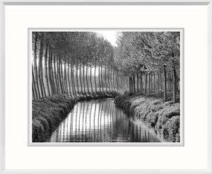Along The Canal wall art featuring a black and white photograph of trees lining a calm waterway.