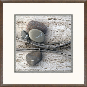 Natures Details IV — nature and landscape fine art print at Laurie Yapp Home