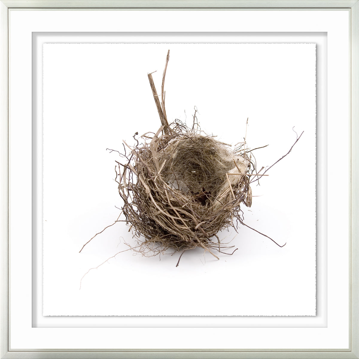 Simply Nests I wall art