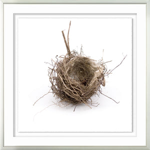Simply Nests I wall art
