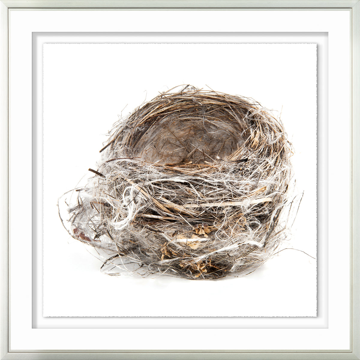 Simply Nests II wall art