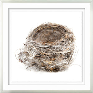 Simply Nests II wall art