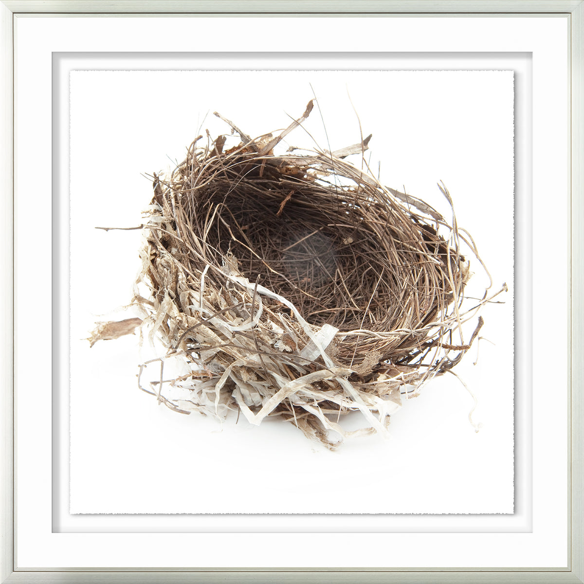 Simply Nests III wall art