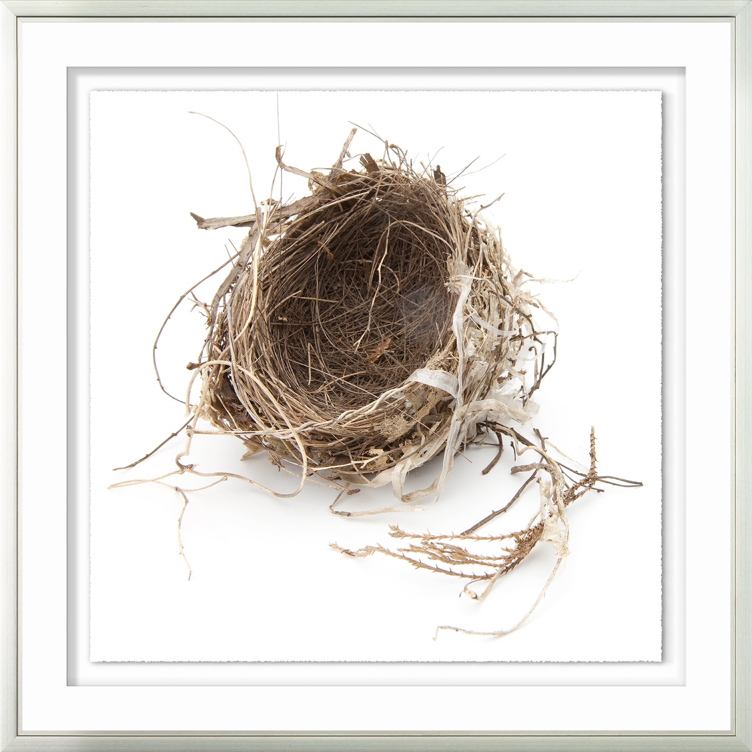 Simply Nests IV wall art