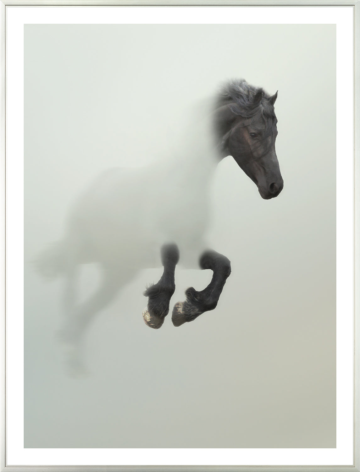 Stallion in Fog Pair Bundle — nature and landscape fine art print shown from another angle
