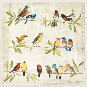 Magpie Music & Usual Suspects Pair Bundle — nature and landscape fine art print at Laurie Yapp Home