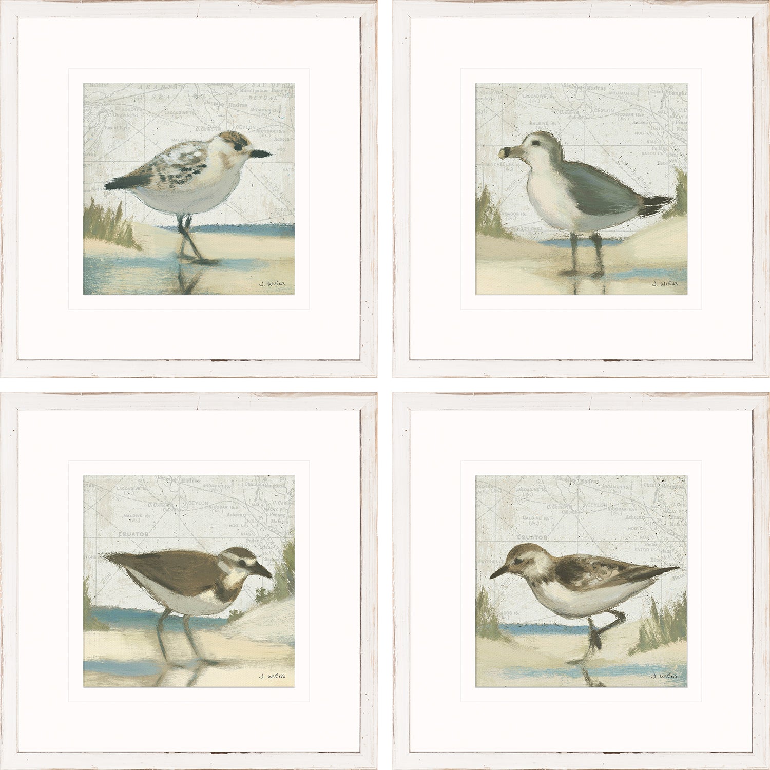 Beach Bird S/4 wall art featuring four framed bird illustrations with soft colors and coastal themes.