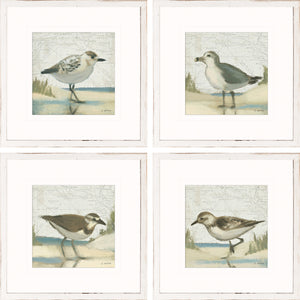Beach Bird S/4 wall art featuring four framed bird illustrations with soft colors and coastal themes.