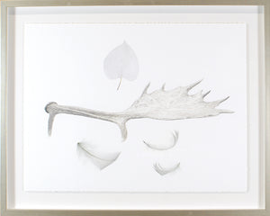 Found Objects II wall art featuring a white background with natural elements like leaves and antlers.