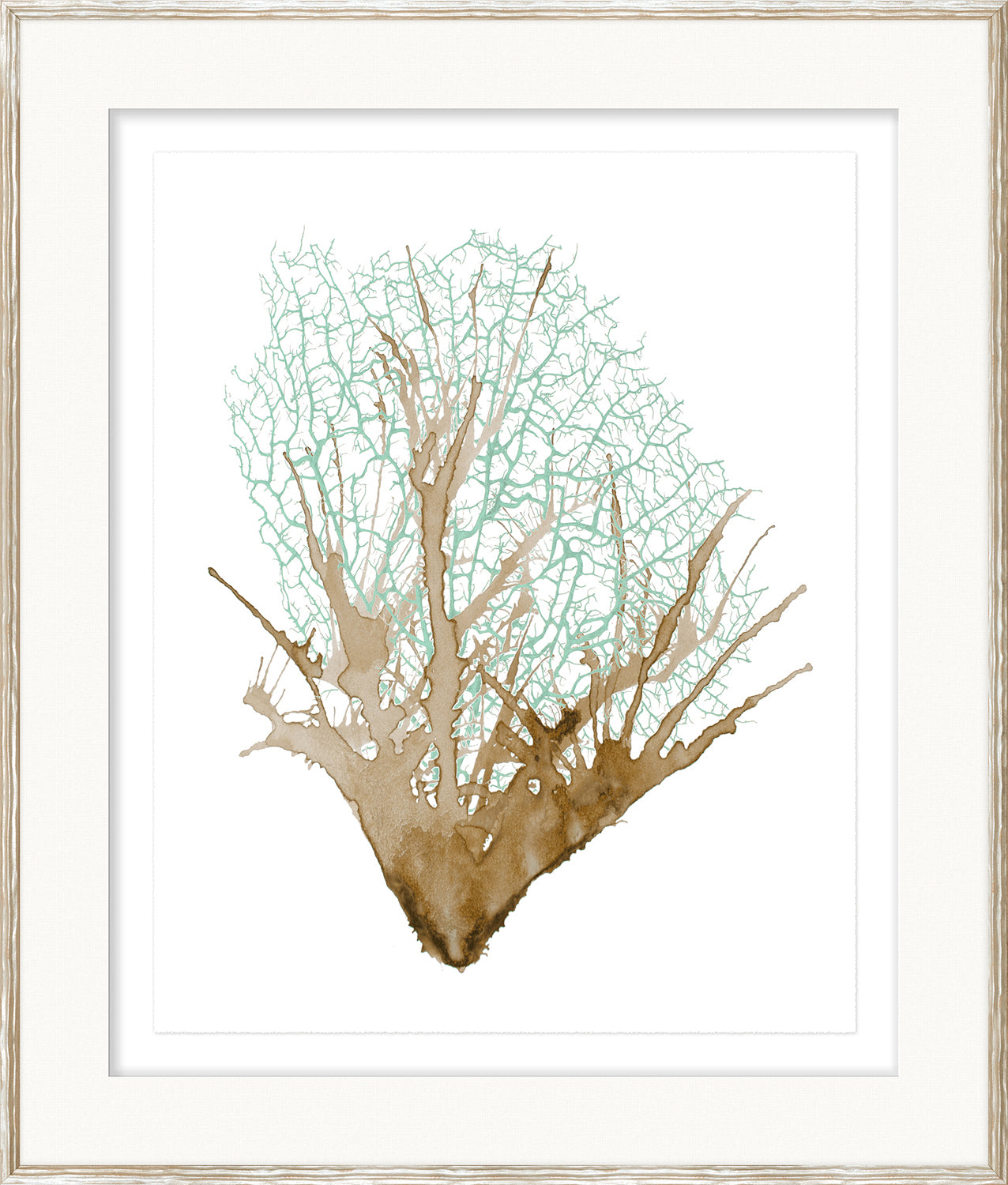 Spa Coral Ii framed art print