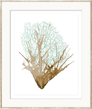 Spa Coral Ii framed art print
