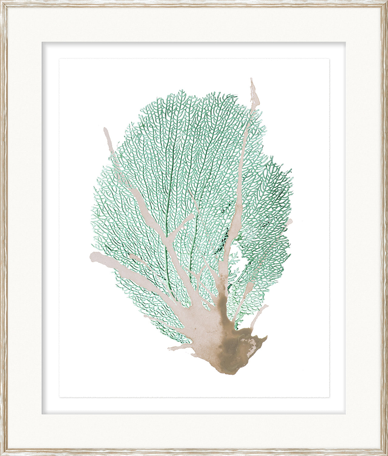 Spa Coral Iii framed art print