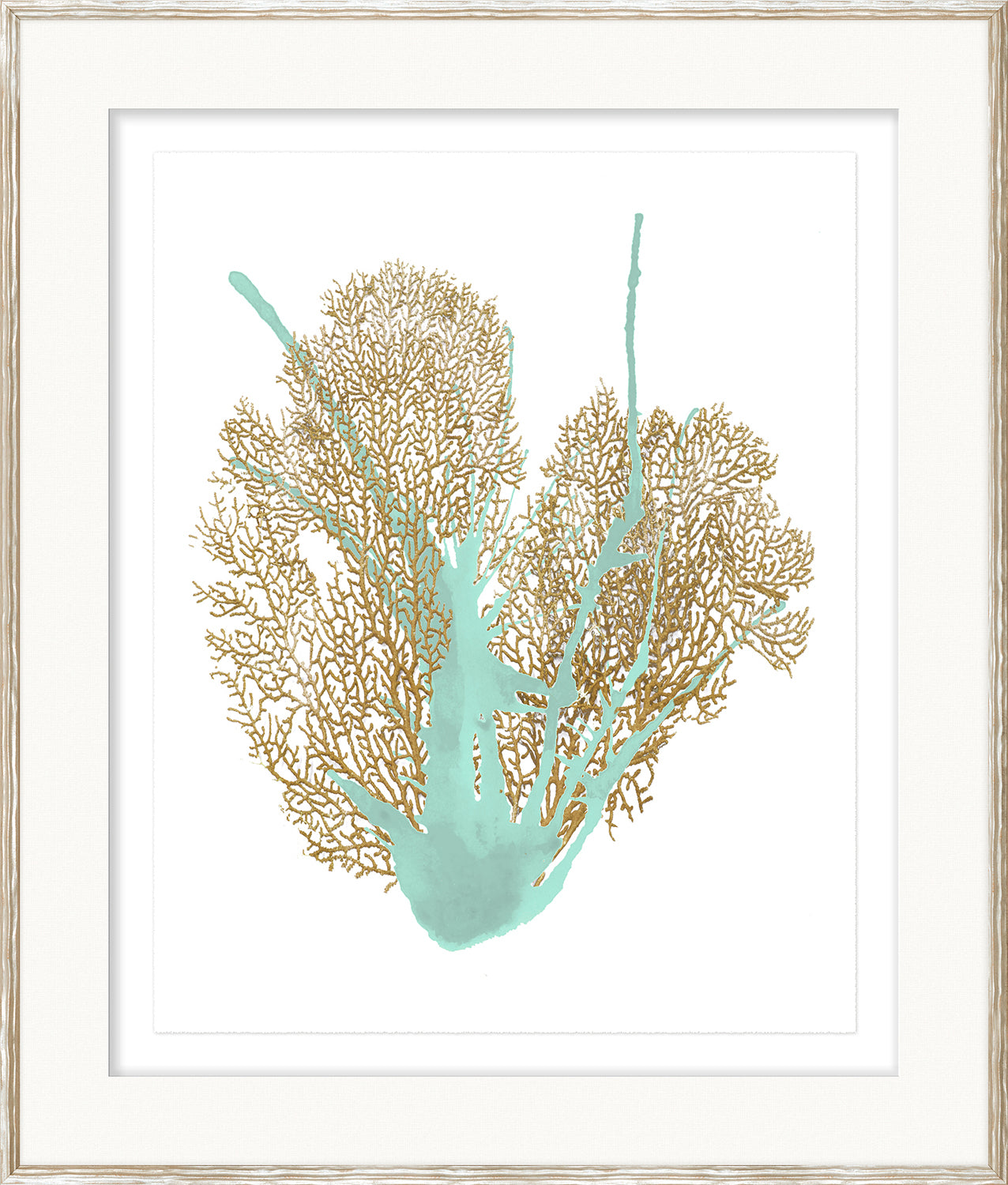Spa Coral Iv framed art print