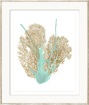 Spa Coral Iv framed art print