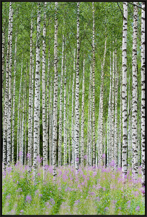 Aspens In Violet Trio Bundle