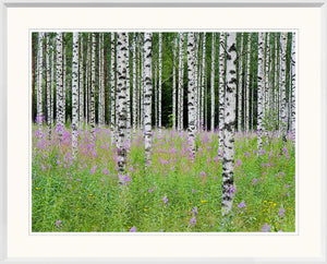 Aspens In Violet Trio Bundle