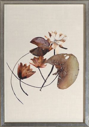 Herbarium Pressings IV wall art featuring dried flowers and leaves on a beige background.