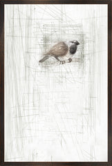 17 × 25 po