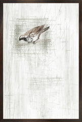 17 × 25 po