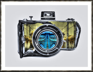 Vintage Camera III — architecture and travel fine art print in cool tones at Laurie Yapp Home