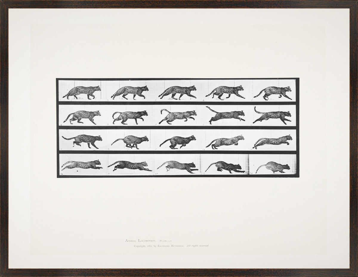 Muybridge Motion Studies Trio Bundle — architecture and travel fine art print in neutral tones at Laurie Yapp Home